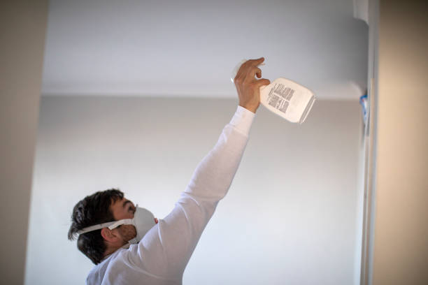 Best Mold Removal Specialists  in Johns Creek, GA