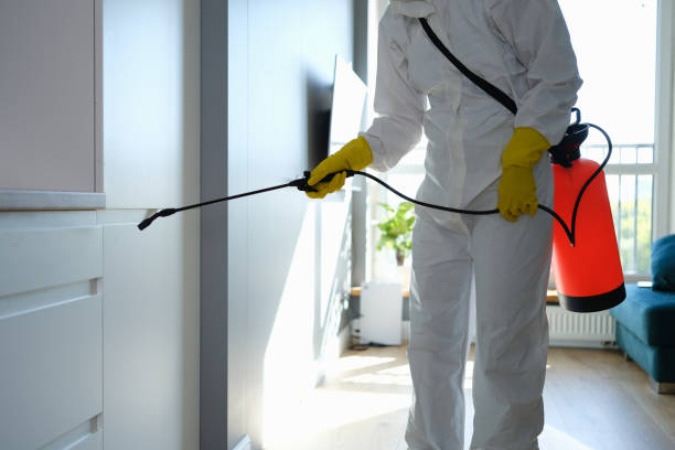 Best Residential Mold Removal  in Johns Creek, GA