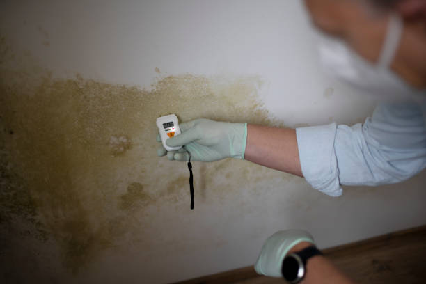 Best Mold Testing  in Johns Creek, GA