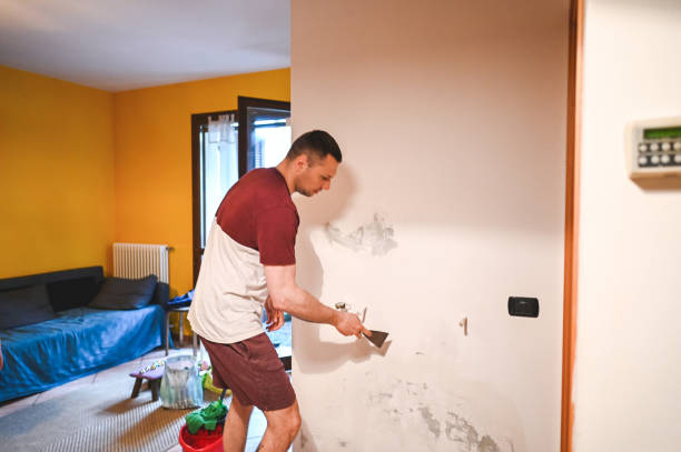 Best Attic Mold Removal  in Johns Creek, GA