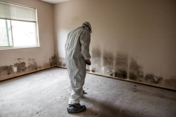 Best Crawl Space Mold Removal  in Johns Creek, GA